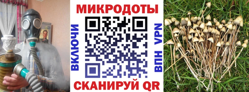 Псилоцибиновые грибы ЛСД  Муром 